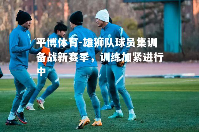 雄狮队球员集训备战新赛季，训练加紧进行中